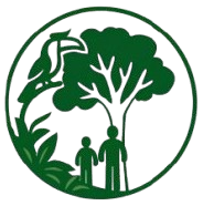 branding logo